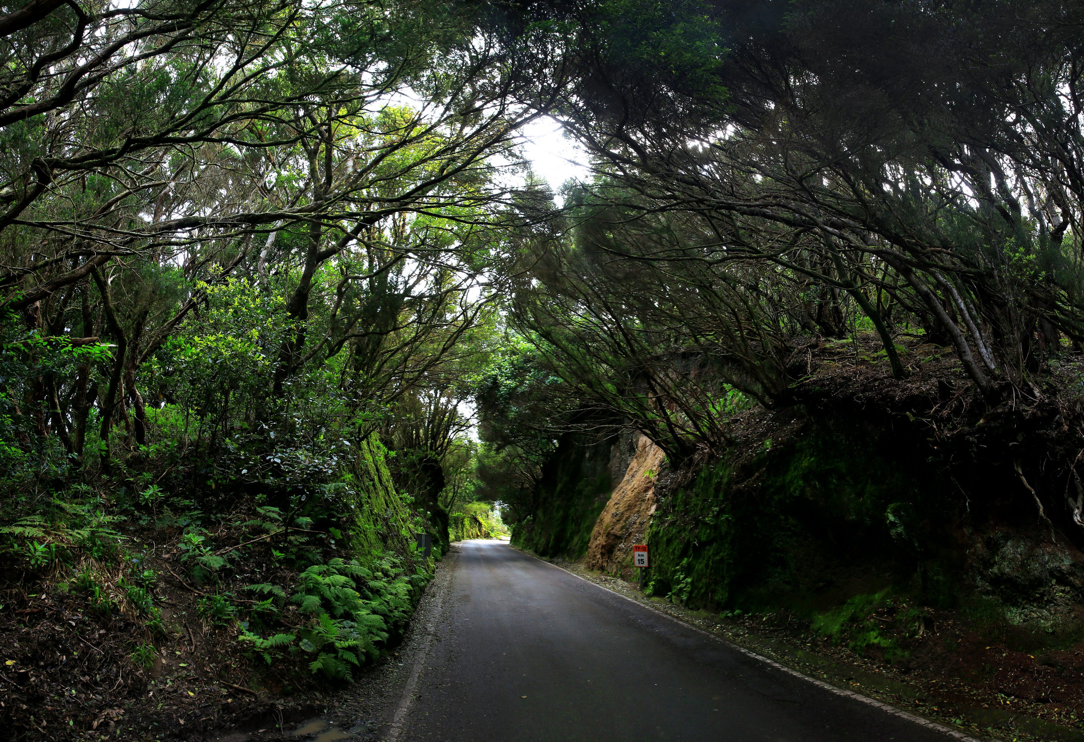 [Group 21]-KVV_7644_KVV_7649-6-12