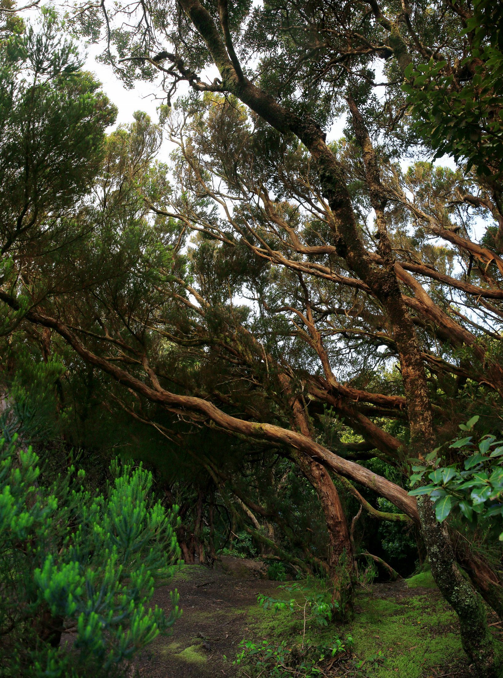 [Group 22]-KVV_7657_KVV_7660-4 -1