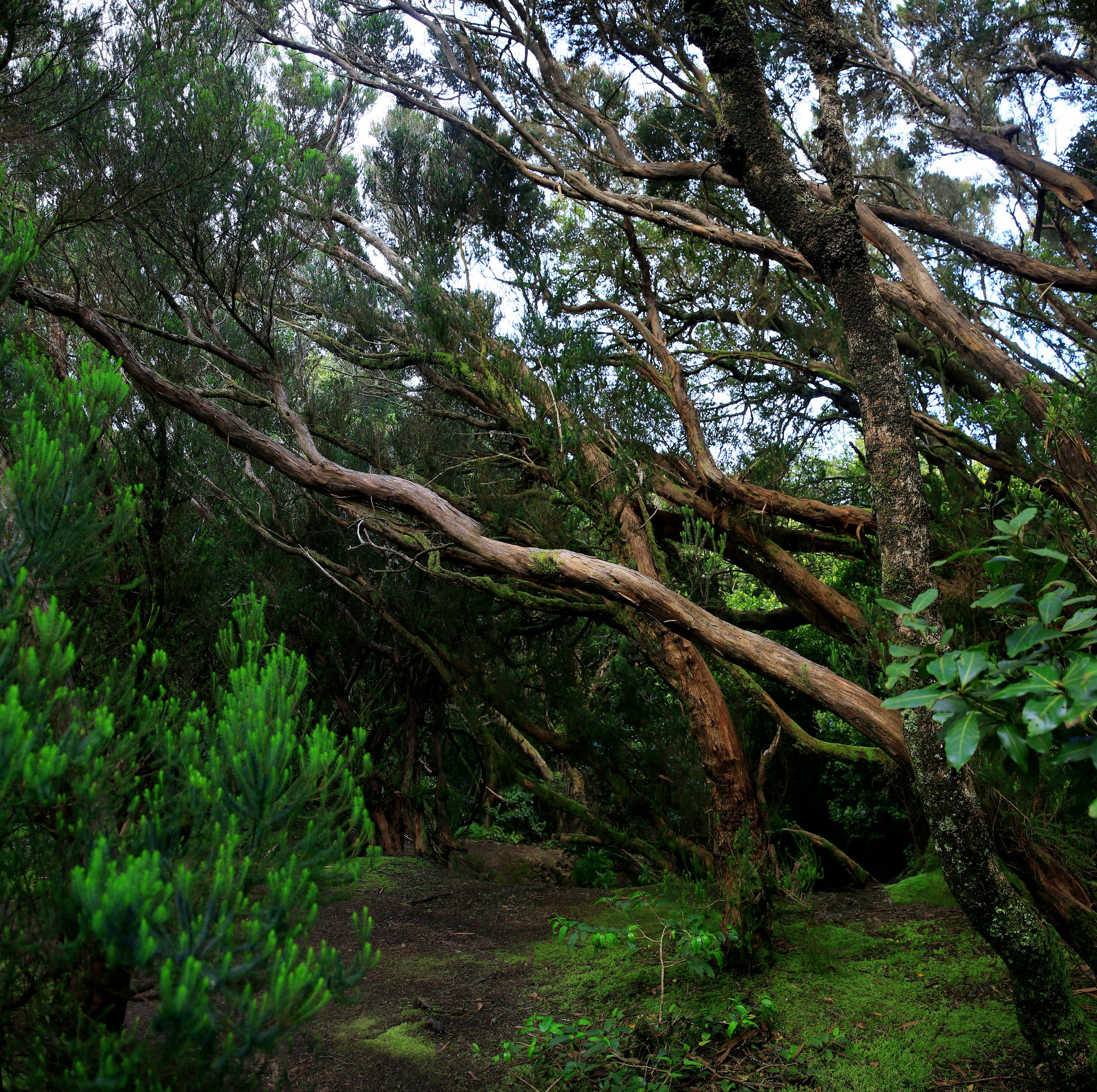 [Group 25]-KVV_7657_KVV_7658-22