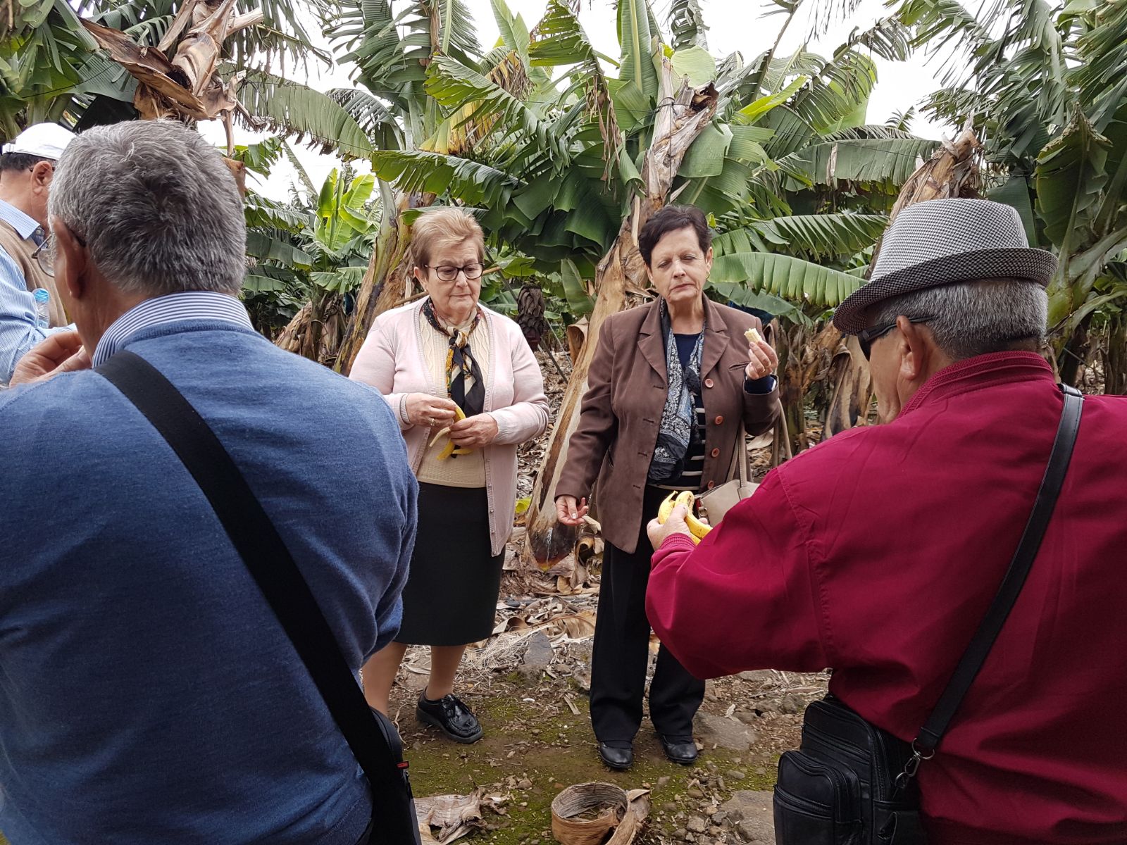 2018-04-26 at 11.25.29