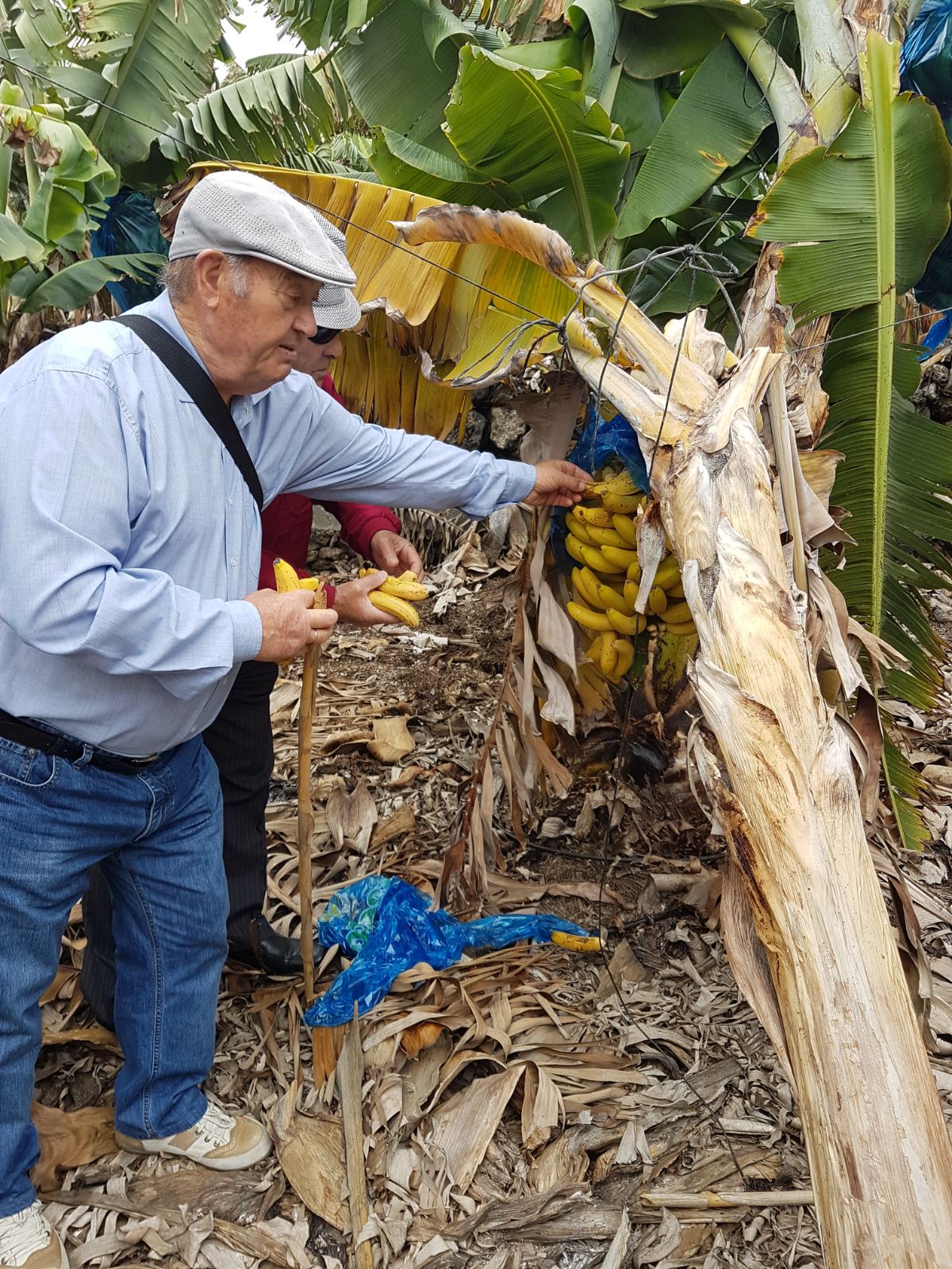 2018-04-26 at 11.25.31