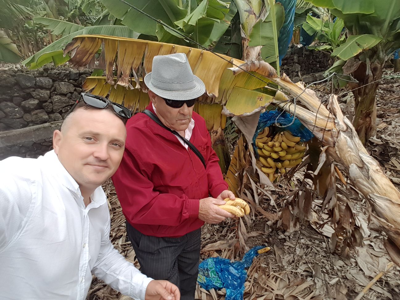 2018-04-26 at 11.25.31-1